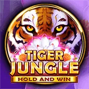 Đội ngũ hỗ trợ khách hàng 24/7 của vn6 Casino.