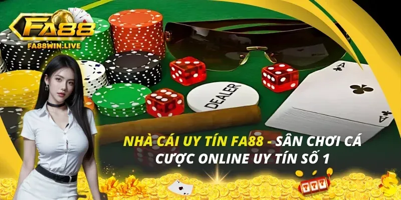 Tổng quan hướng dẫn chơi trên nền tảng st8